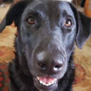 Meet your Posher, Larry